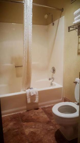 Hotel Western Pine Springs 3*