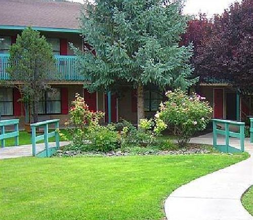 Western Pine Springs Hotel
